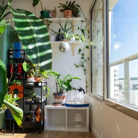 Bright With View And Terrace Apartment *