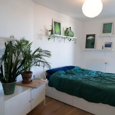 Bright With View And Terrace Daire *